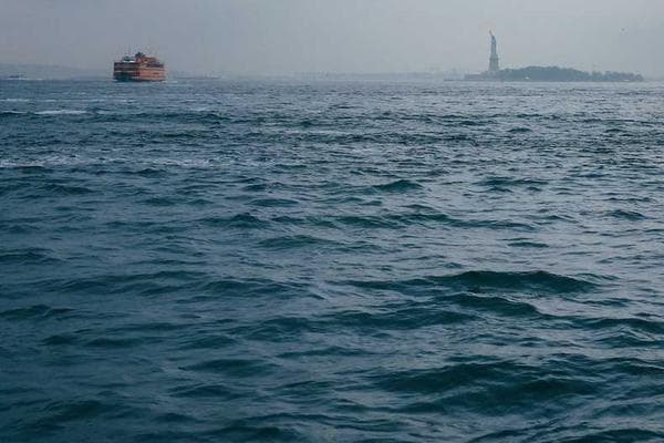 Company Business Website